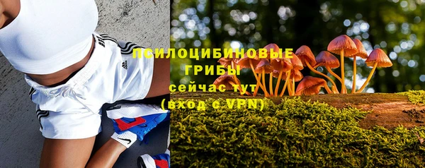 герыч Покровск